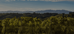 Montauban, Albi, Castres, Auch
