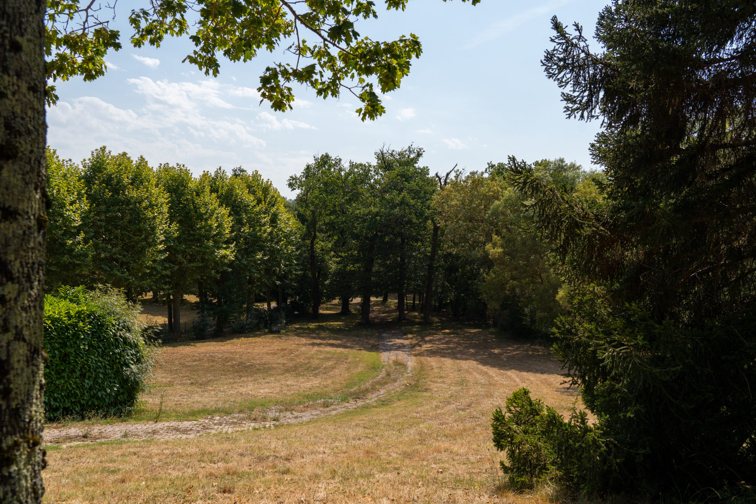Le vaste parc arboré du Domaine de la Seillonne