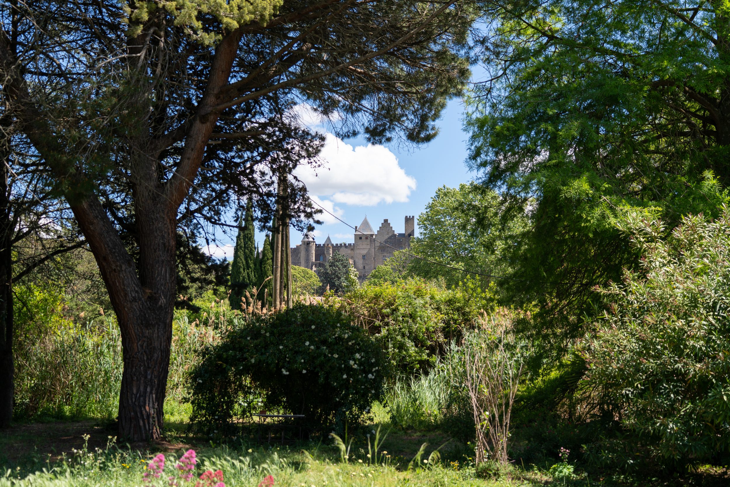 L'îlot Feng Shui - Jardin & 400m de la Cité